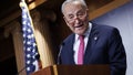 Chuck Schumer under fire after brazenly calling voter ID 'Jim Crow 2.0' - 91����