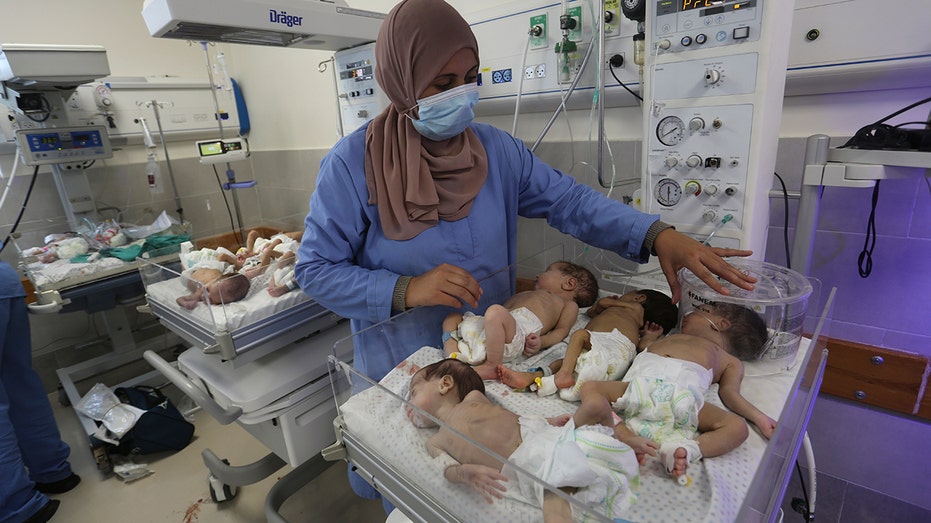 31 premature babies evacuated from Gaza's largest hospital as US confirms Hamas operations there 31 premature babies evacuated from Gaza's largest hospital as US confirms Hamas operations there