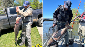 Angler helps authorities crack down on gigantic invasive fish eating all the food in local pond