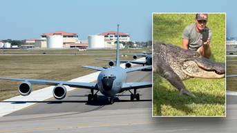 Huge reptile found on military base assigned to complaint department, internet reacts