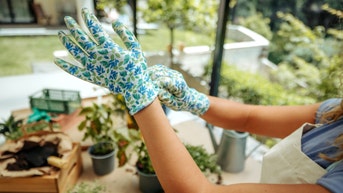 Save on garden decor, pet products and outdoor gear with these Amazon Haul deals - FOX 极速赛车168开奖官网开奖 News