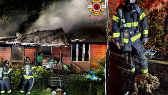 House fire at Washington breeder’s home kills 40 dogs; 3 animals rescued - Fox News