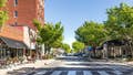 REP ROGER WILLIAMS: 250 years of hard work pay off for Main Street businesses - Fox News