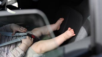 Florida toddler dies after father realizes child was left in SUV during daycare pickup - Fox News