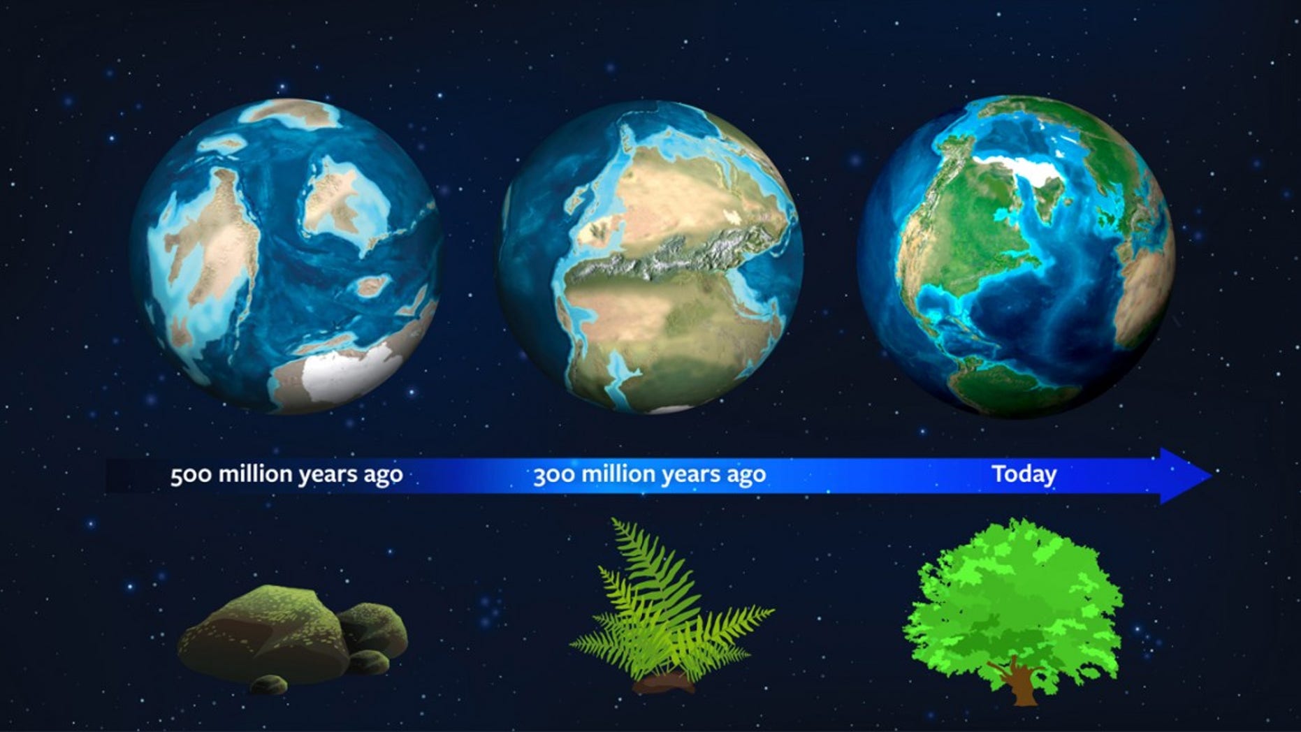 Earth’s natural history may now serve as a guide for astronomers to spot exoplanets. About 500 million years ago, this planet had a different light signature due to the dominance of moss. About 300 million years ago, ferns dominated and mature plant forms rule today - strengthening our planet’s light signature (Jack O'Malley-James/Wendy Kenigsberg/Brand Communications).