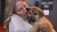 Sex appeal or puppy ads: Which is more successful?