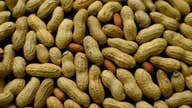 New way to prevent peanut allergies