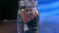 Entrepreneur fits two-years of garbage into Mason jar  