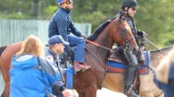 Saddling up for success in horse racing