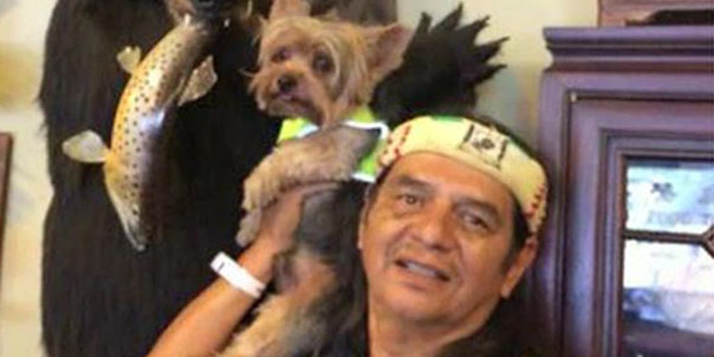 10lb Yorkshire Terrier saves owner from bear Fox Business Video