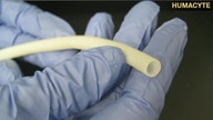 Investing in the future of regenerative medicine