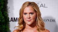 Should Amy Schumer weigh in on U.S. gun policies?