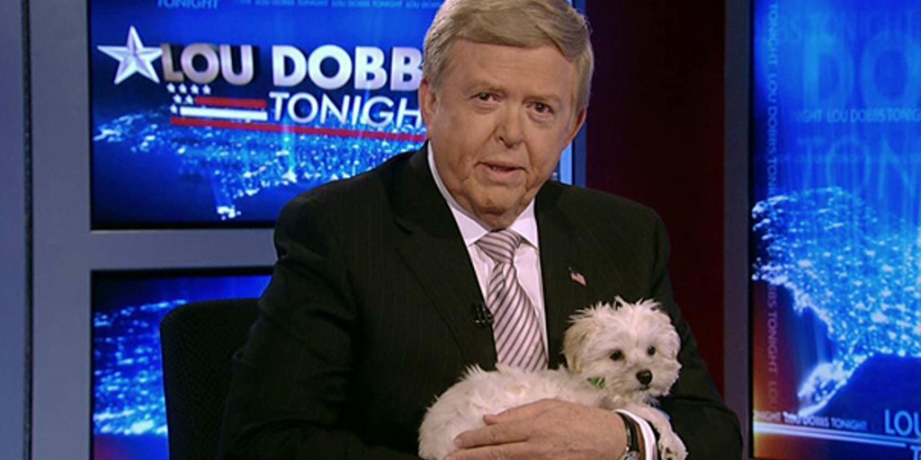 ASPCA Launches ‘No Pet Store Puppies’ Campaign Fox Business Video