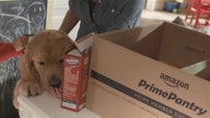 Get your groceries from Amazon?