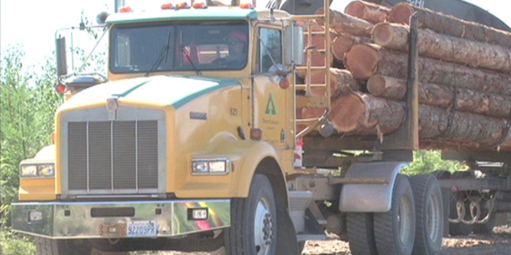 Weyerhaeuser 1Q earnings top estimates Fox Business Video