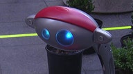 A robot to help you shop?
