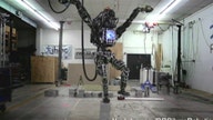 Google unveils robot that can do karate