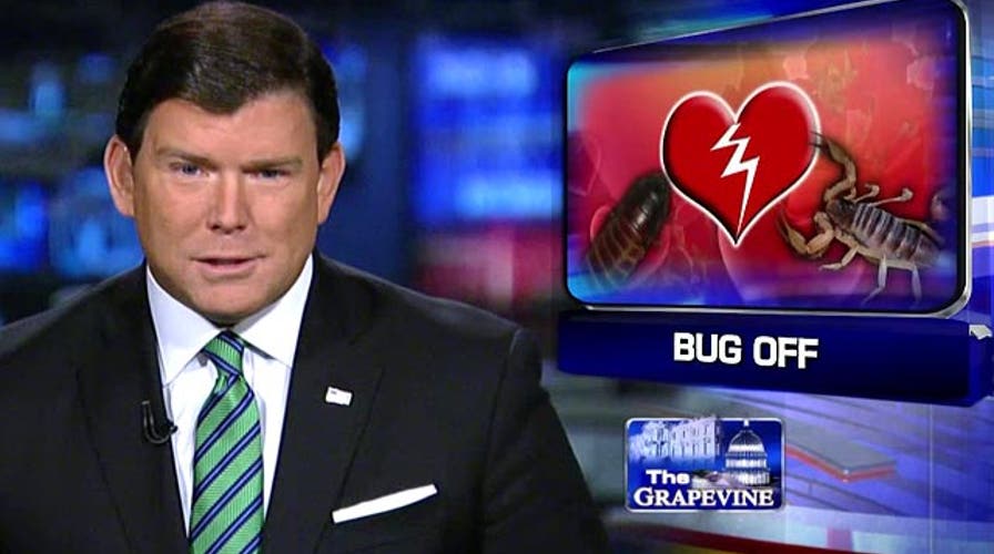 Grapevine: Zoo offering to name bugs after people's exes
