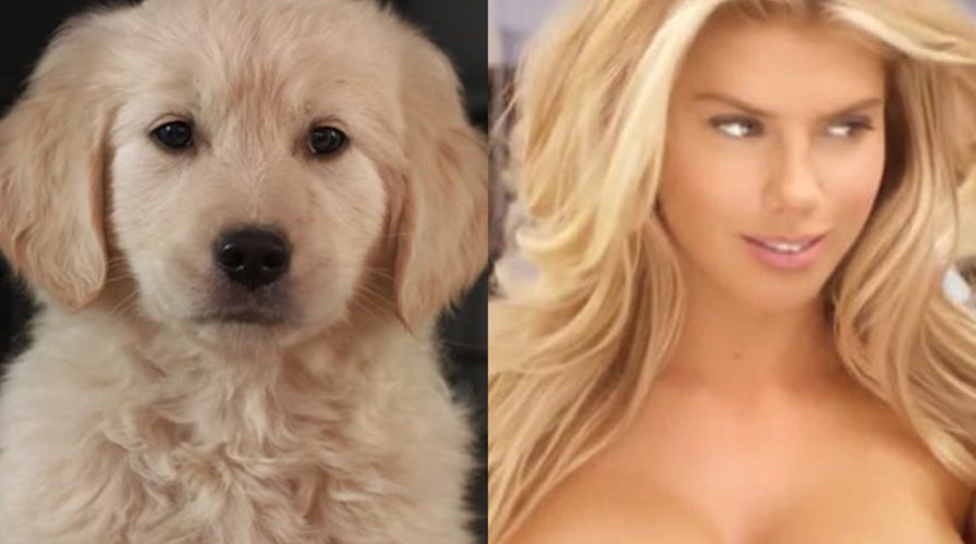 2015 Super Bowl ads: Hot or Not?