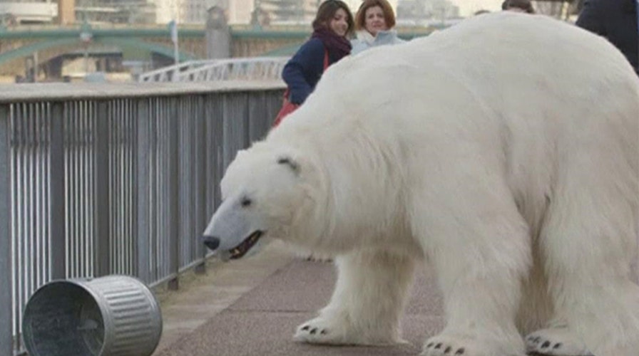'Polar bear' shocks Londoners