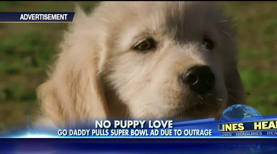 012815_puppy