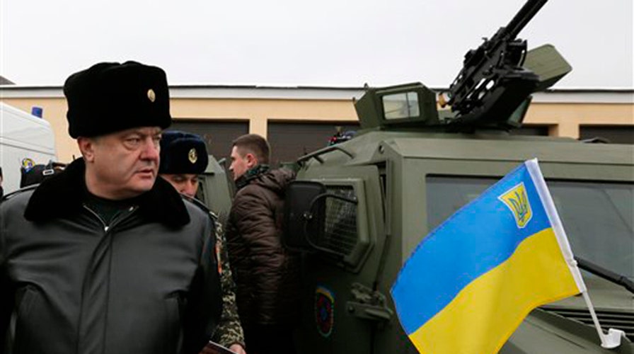 Ukraine cease fire underway 
