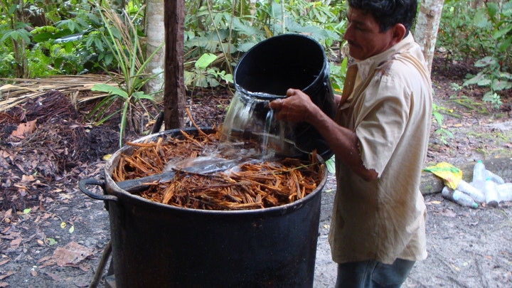 Is Ayahuasca a healing treatment?