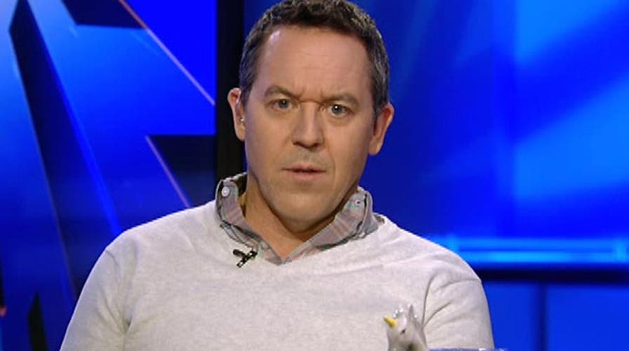 Gutfeld: Left won't let terrorism obscure the real fight