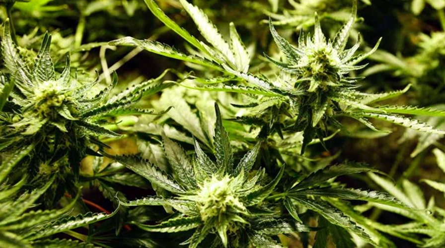 Are Colorado's marijuana laws finally up in smoke?