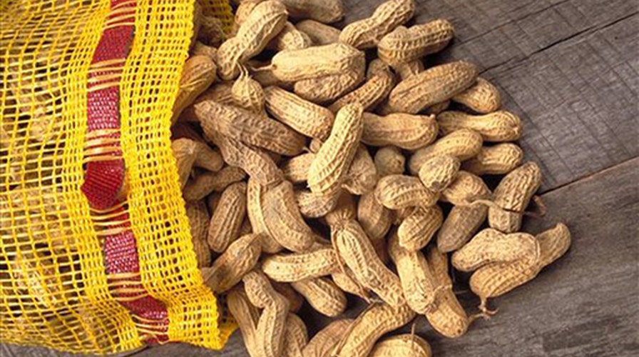 Study: Exposing some infants peanuts may prevent allergies