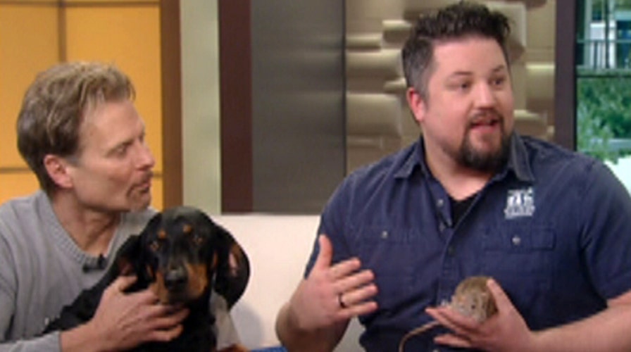 Fox Flash: 'Unlikely Animal Friends'