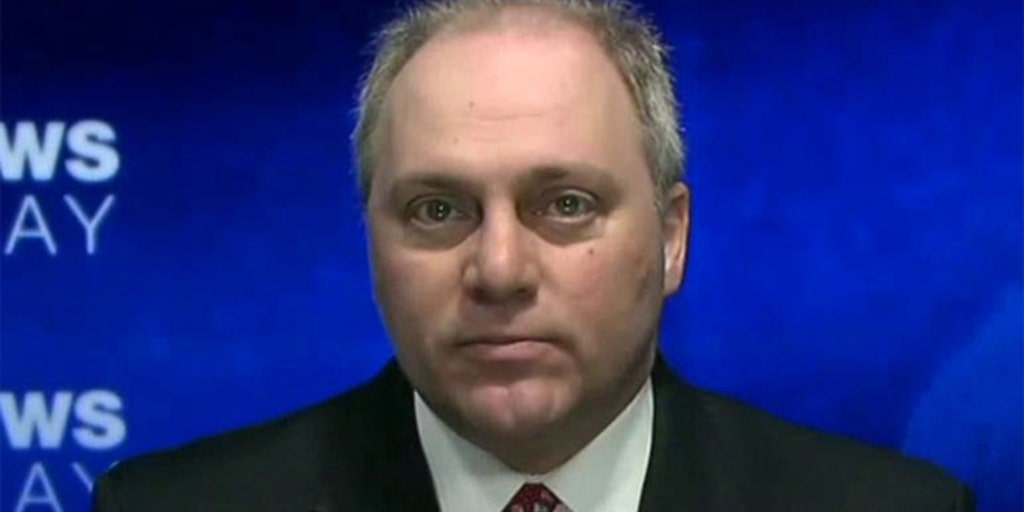 Rep. Steve Scalise talks DHS funding fight | Fox News Video