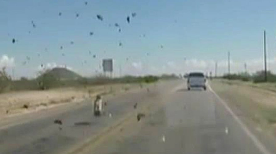 Suspects toss bales of pot from truck in high-speed chase