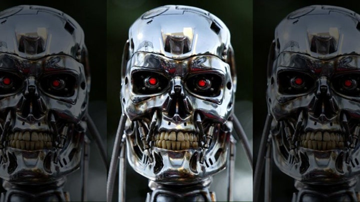 Rise of the machines: Is this the real ‘Terminator’?