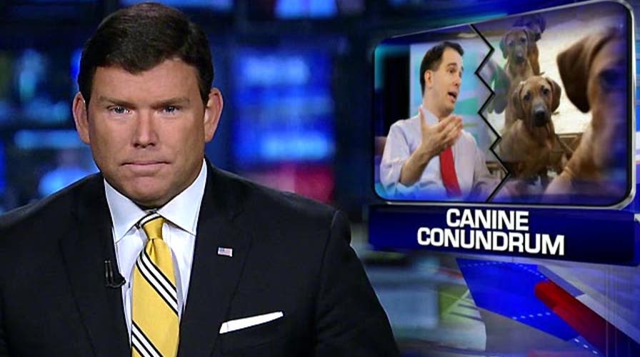 Grapevine: Scott Walker faces a canine conundrum