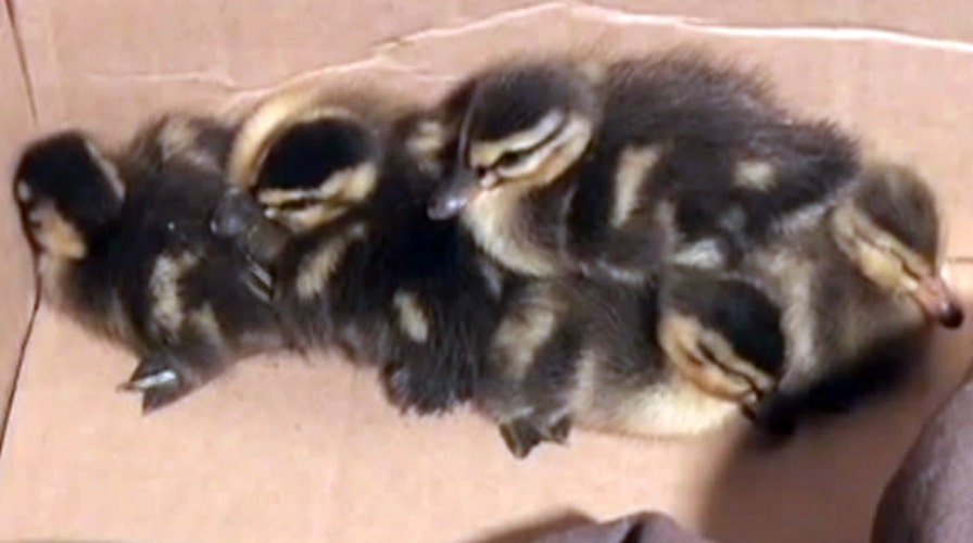 The Good, the Bad and the Ugly