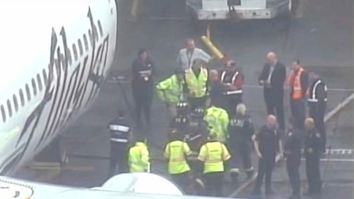 Man stuck in plane’s cargo hold forces an emergency landing 