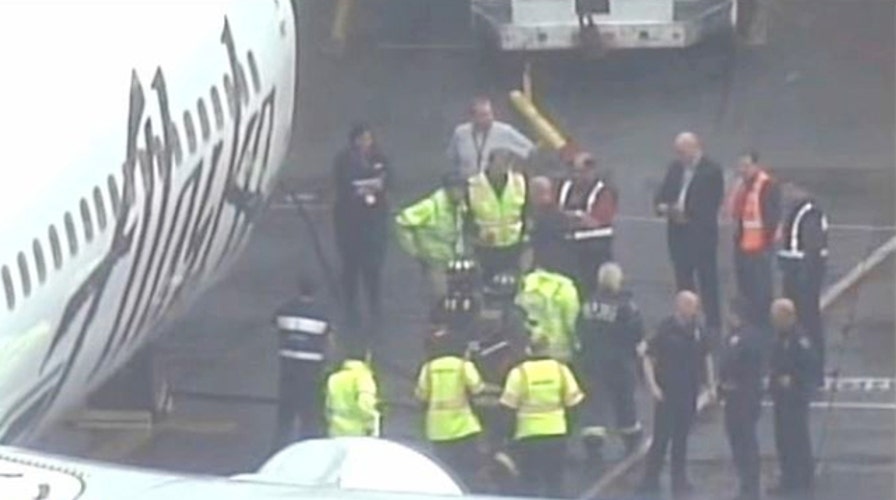 Man stuck in plane’s cargo hold forces an emergency landing 