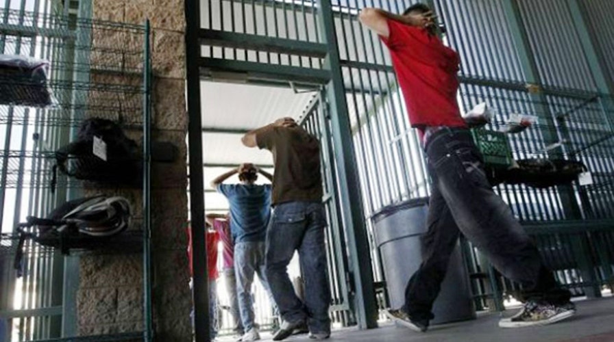 ICE director under fire over release of criminal illegals