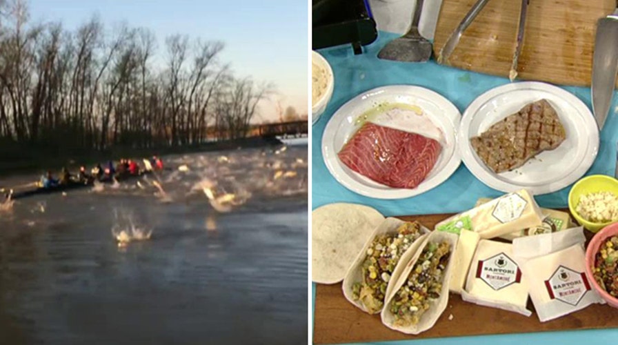 Flying carp attack Missouri rowing team