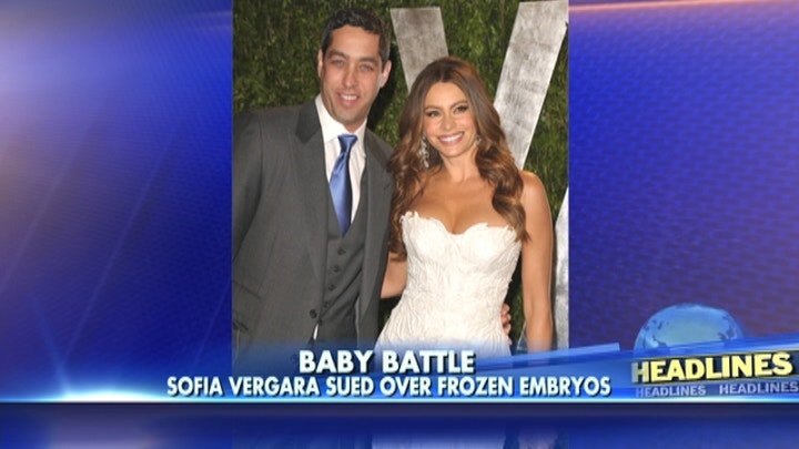 Sofia Vergara sued by ex over frozen embryos