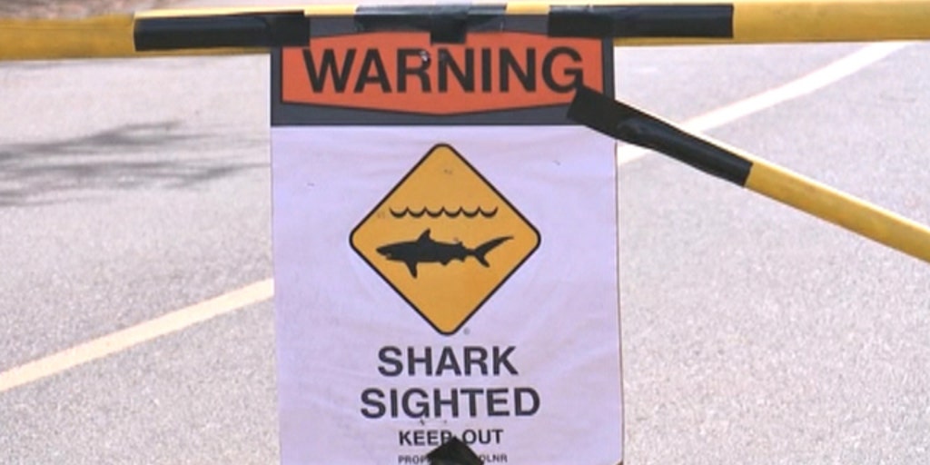 65-year-old woman killed after shark attack | Fox News Video