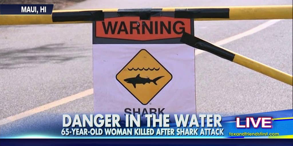 043015_shark | Fox News Video