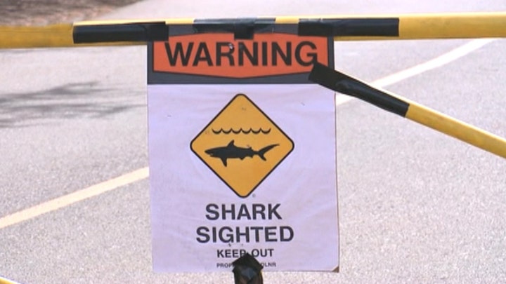 65-year-old woman killed after shark attack