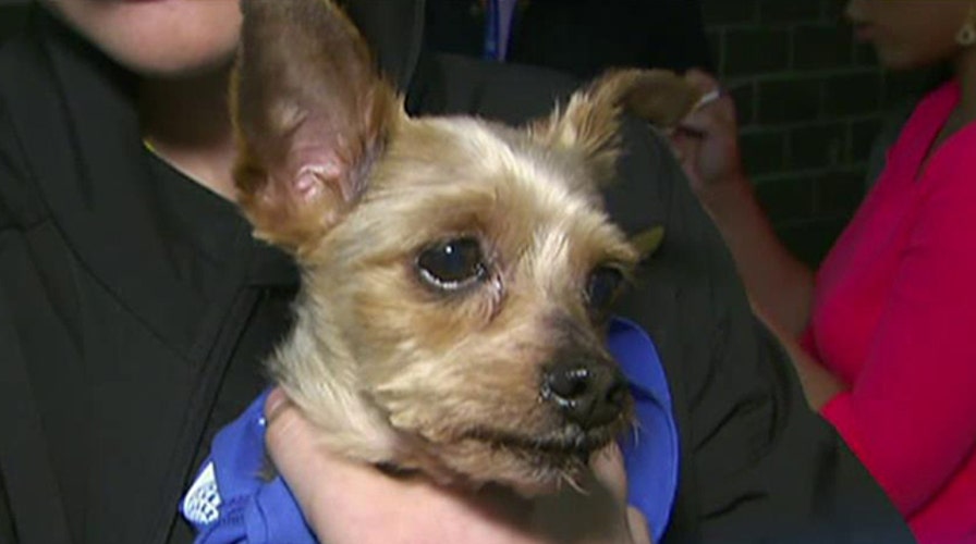 The Good, the Bad and the Ugly