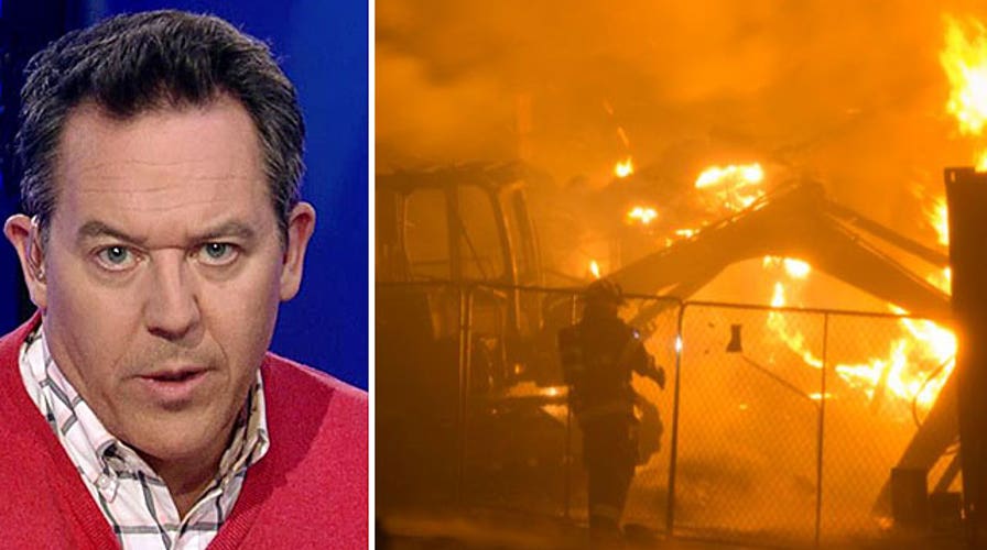 Gutfeld: Radical idiocy abounds