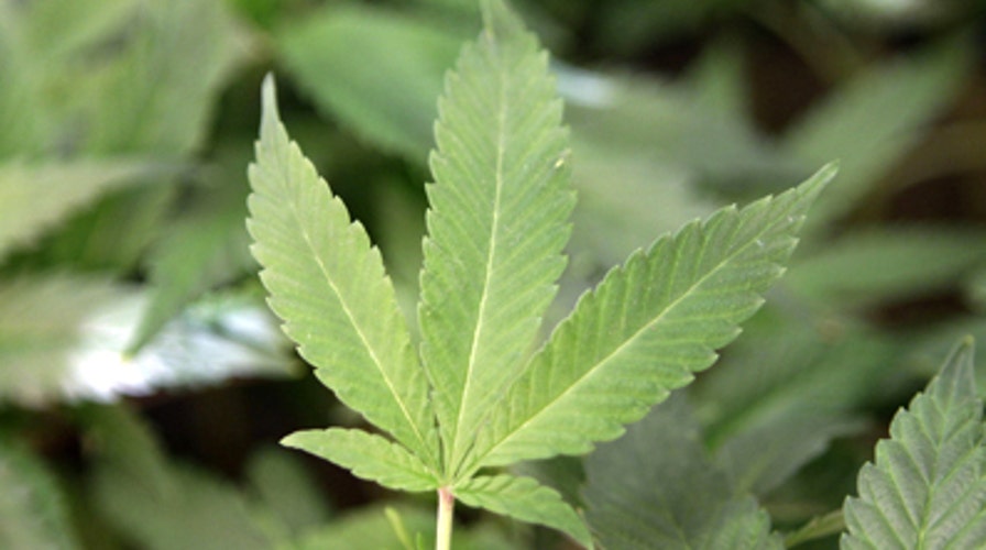 Should medical marijuana be allowed in schools?