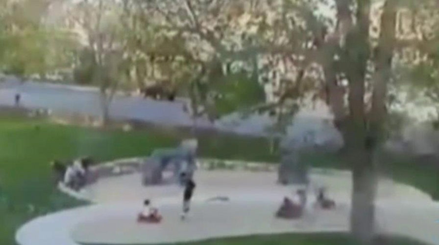 Huge tree crashes down on children playing at park