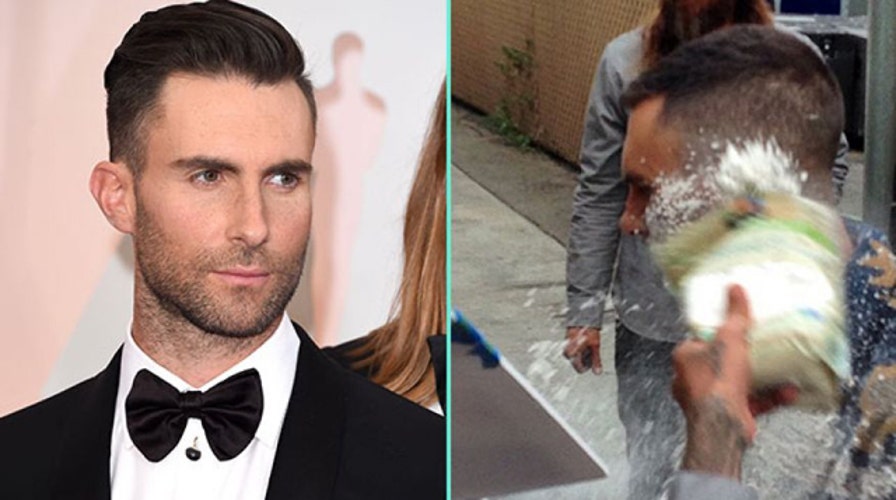 Adam Levine pelted with sugar