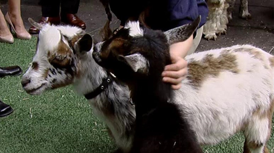 Unique, last-minute Mother's Day gift idea for mom